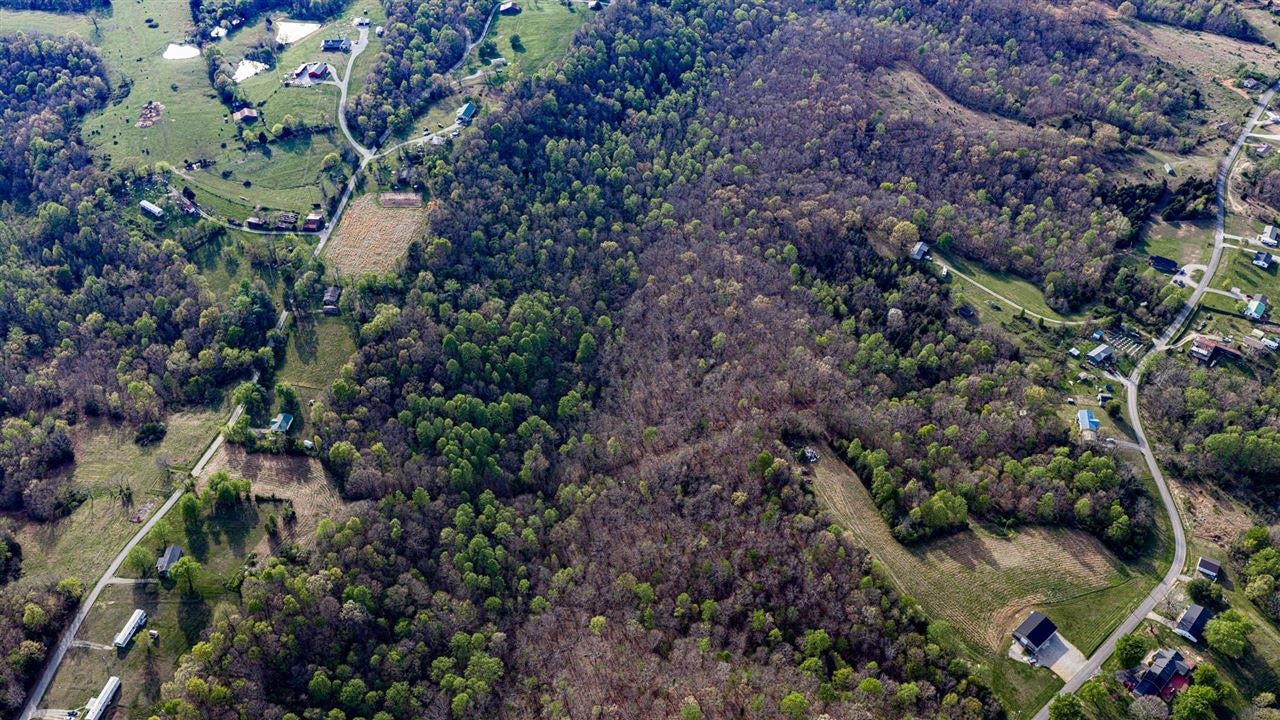 0 Cedar Grove Church Road Bee Spring, KY 42207 - Photo 7 of 9 Gallery Image 7