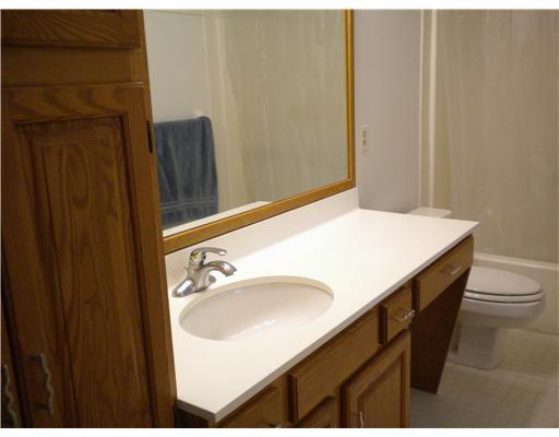 10 Ridgemead Fields Drive Plum, PA 15147 - Photo 13 of 18 Master Bath/Spa.