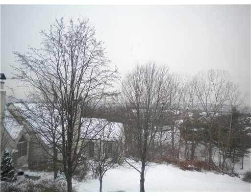 10 Ridgemead Fields Drive Plum, PA 15147 - Photo 18 of 18 View. On a clear day.......you can see for miles!