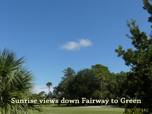29 Battery Park Road Edisto Island, SC 29438 - Photo 2 of 18 2aa