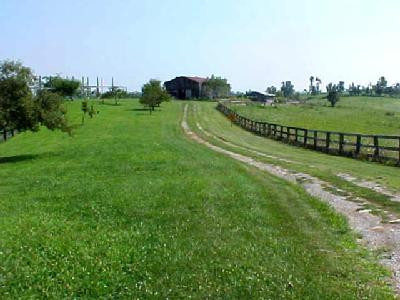 150 Stone Road Paris, KY 40361 - Photo 6 of 11 Photo 6
