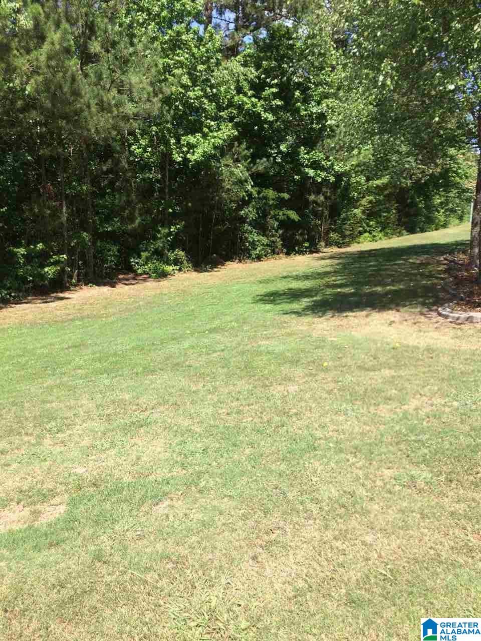 0 Azalea Hills Drive, Unit 6 Oneonta, AL 35121 - Photo 2 of 3