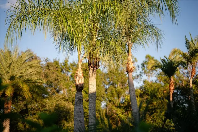 $3,500,000 | 18702 69th Avenue East, Bradenton, FL 34211