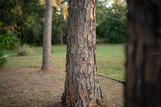 $3,500,000 | 18702 69th Avenue East, Bradenton, FL 34211