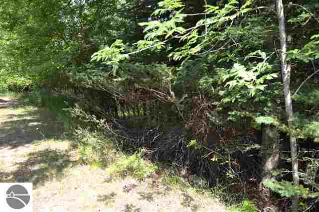 3748 Lupton Road Lupton, MI 48635 - Photo 15 of 16 1749184-14.JPG
