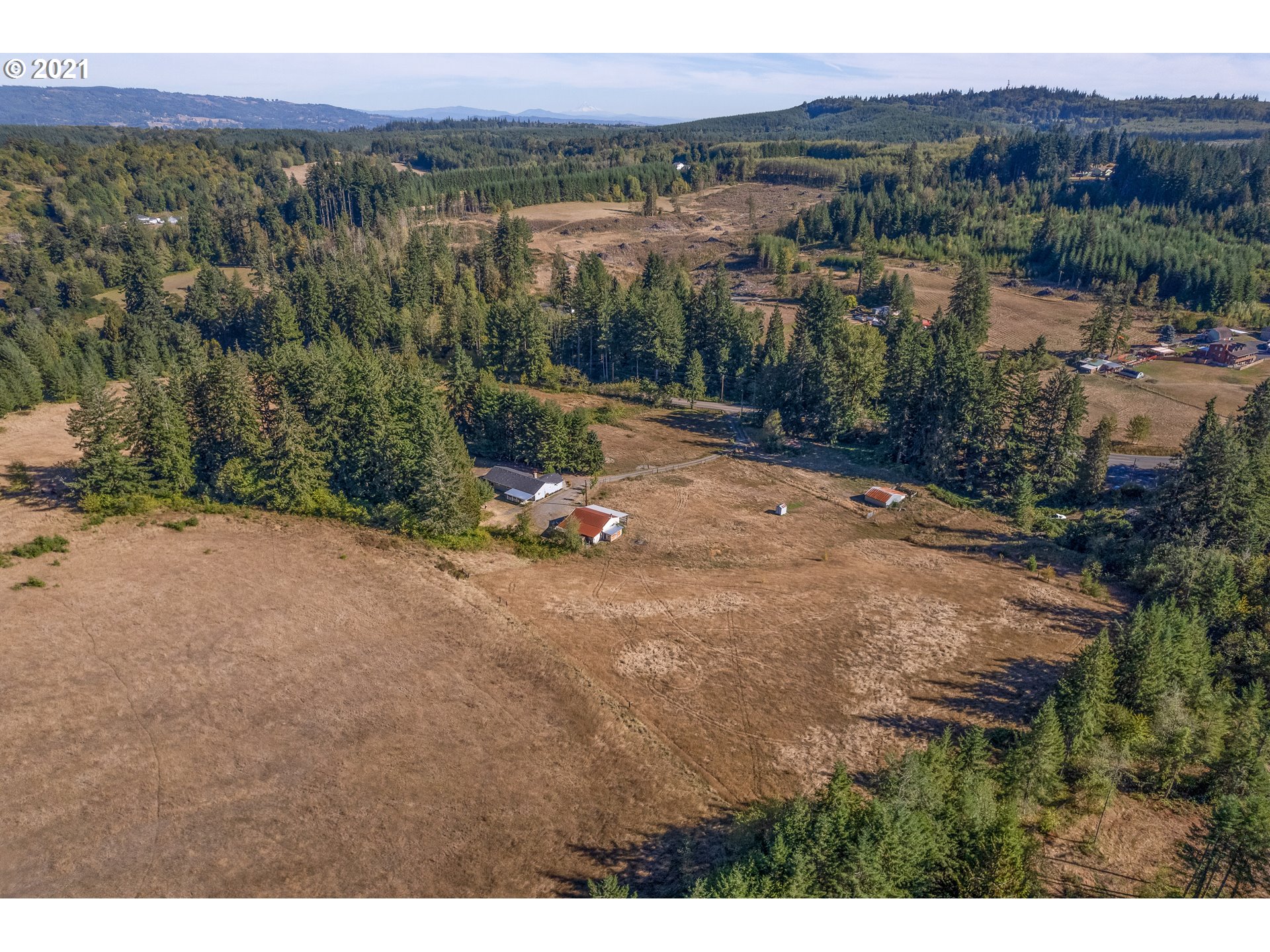 69021 Nicolai Road Rainier, OR 97048 - Photo 31 of 32 a view of a field with a tree