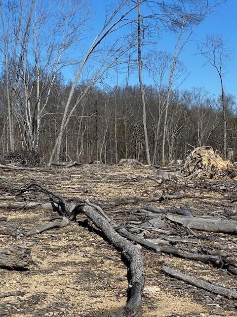 17 River Road, Unit TRACT 17 Decatur, TN 37322 - Photo 3 of 5 20230929222733127792000000-o