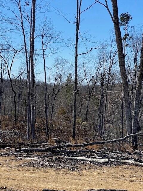 17 River Road, Unit TRACT 17 Decatur, TN 37322 - Photo 4 of 5 20230929222733739589000000-o