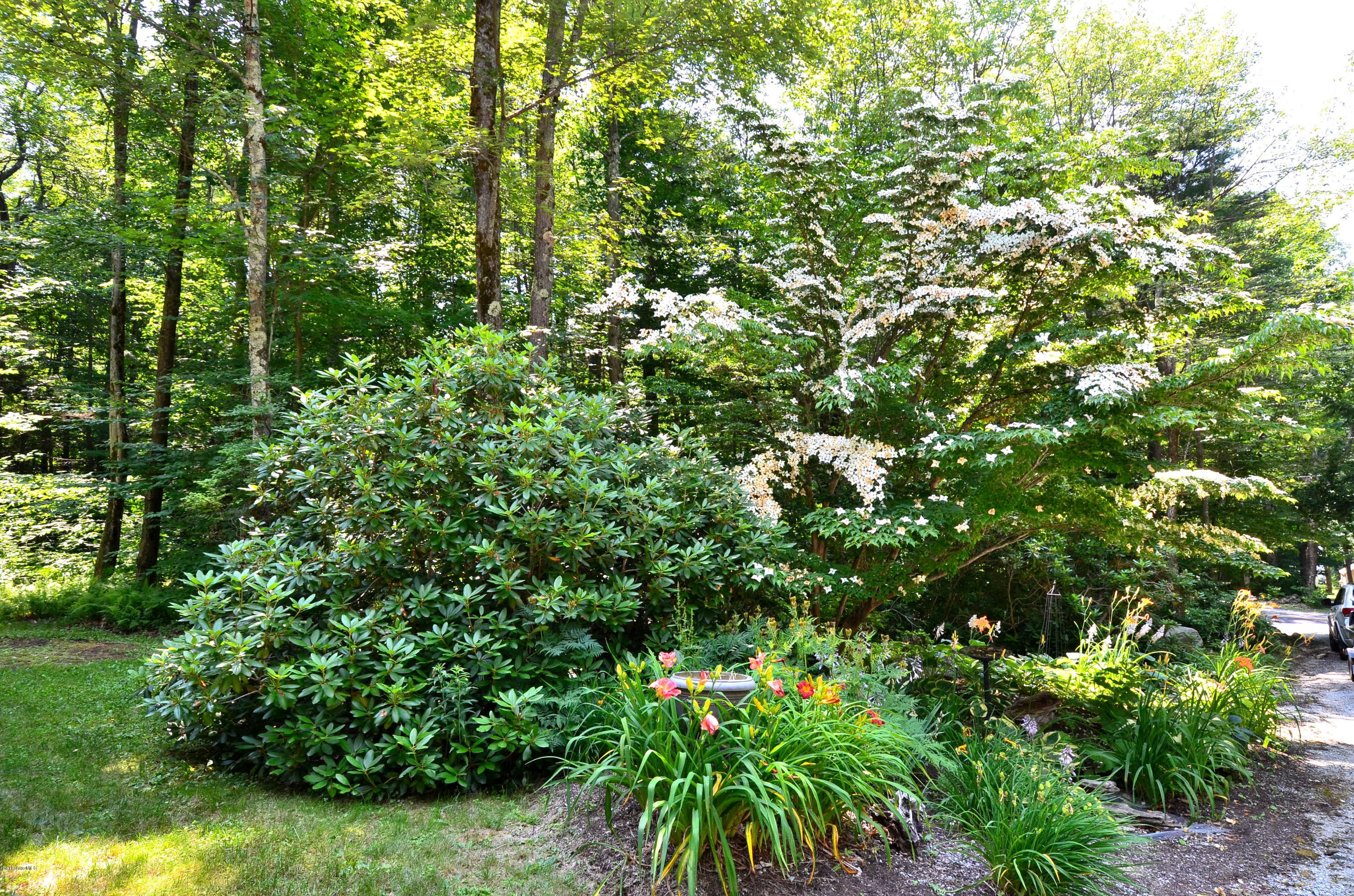 10 Moreau Road Blandford, MA 01008 - Photo 25 of 39 Flowering Dogwood Front Yard Off Deck