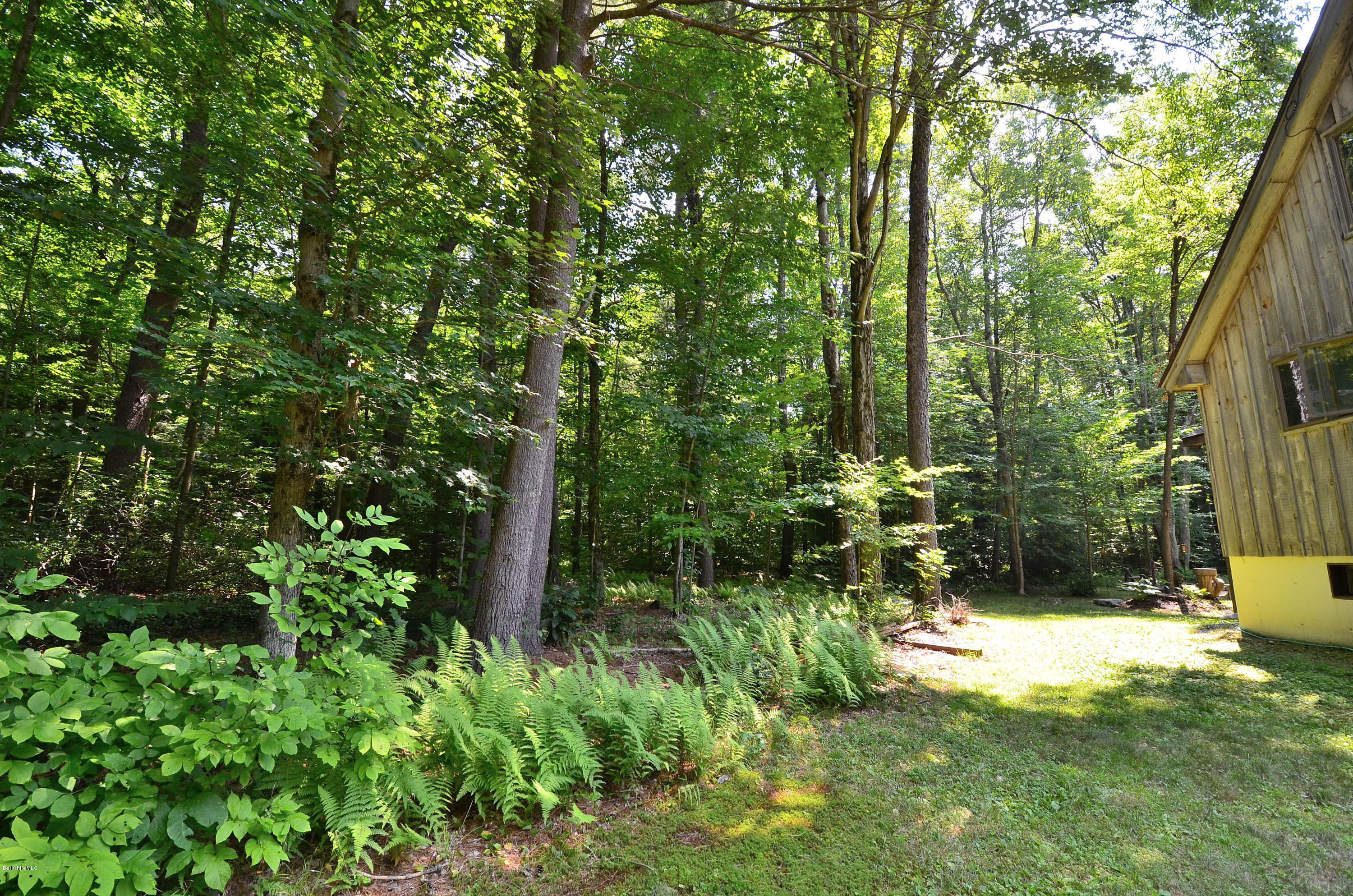 10 Moreau Road Blandford, MA 01008 - Photo 29 of 39 Lawn And Woods