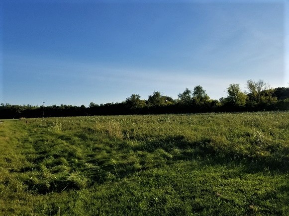 Lot 1 Mcconnell Road Woodstock, IL 60098 - Photo 6 of 6 a view of lake with green space