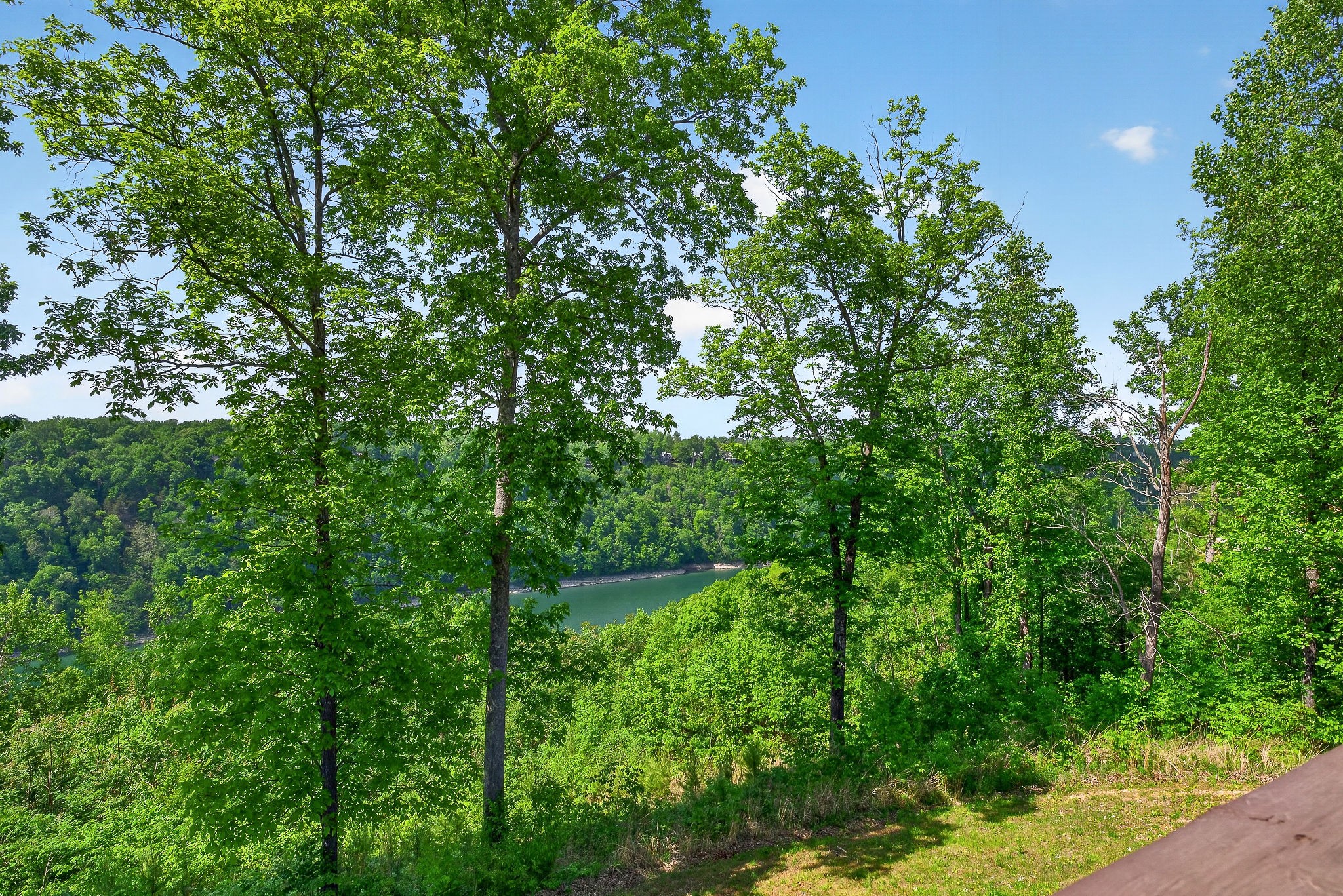 1175 Hutchins Bend Road Sparta, TN 38583 - Photo 69 of 76