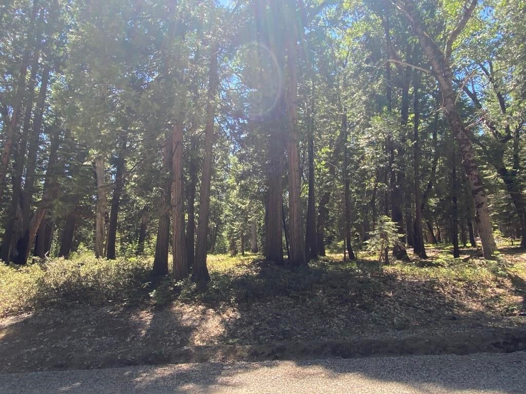 3-e-29 Red Fir Road McCloud, CA 96057 - Photo 18 of 22 Gallery Image 18