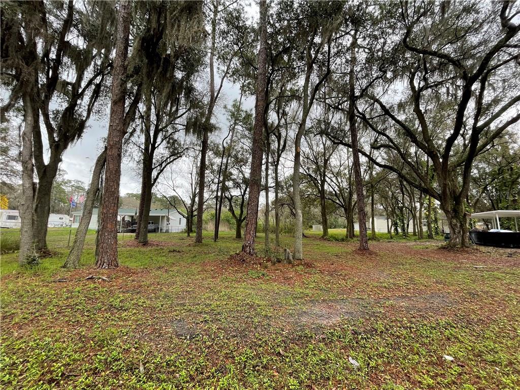 State Park Road Lakeland, FL 33805 - Photo 1 of 1