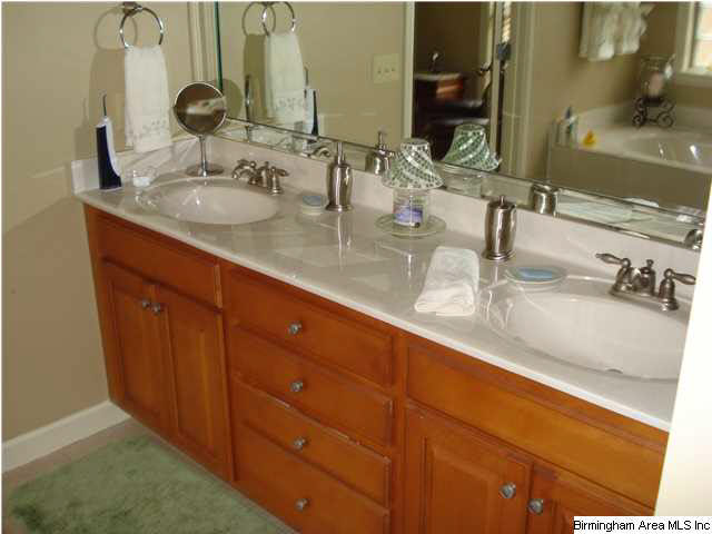 22549 Iron Masters Loop McCalla, AL 35111 - Photo 17 of 23