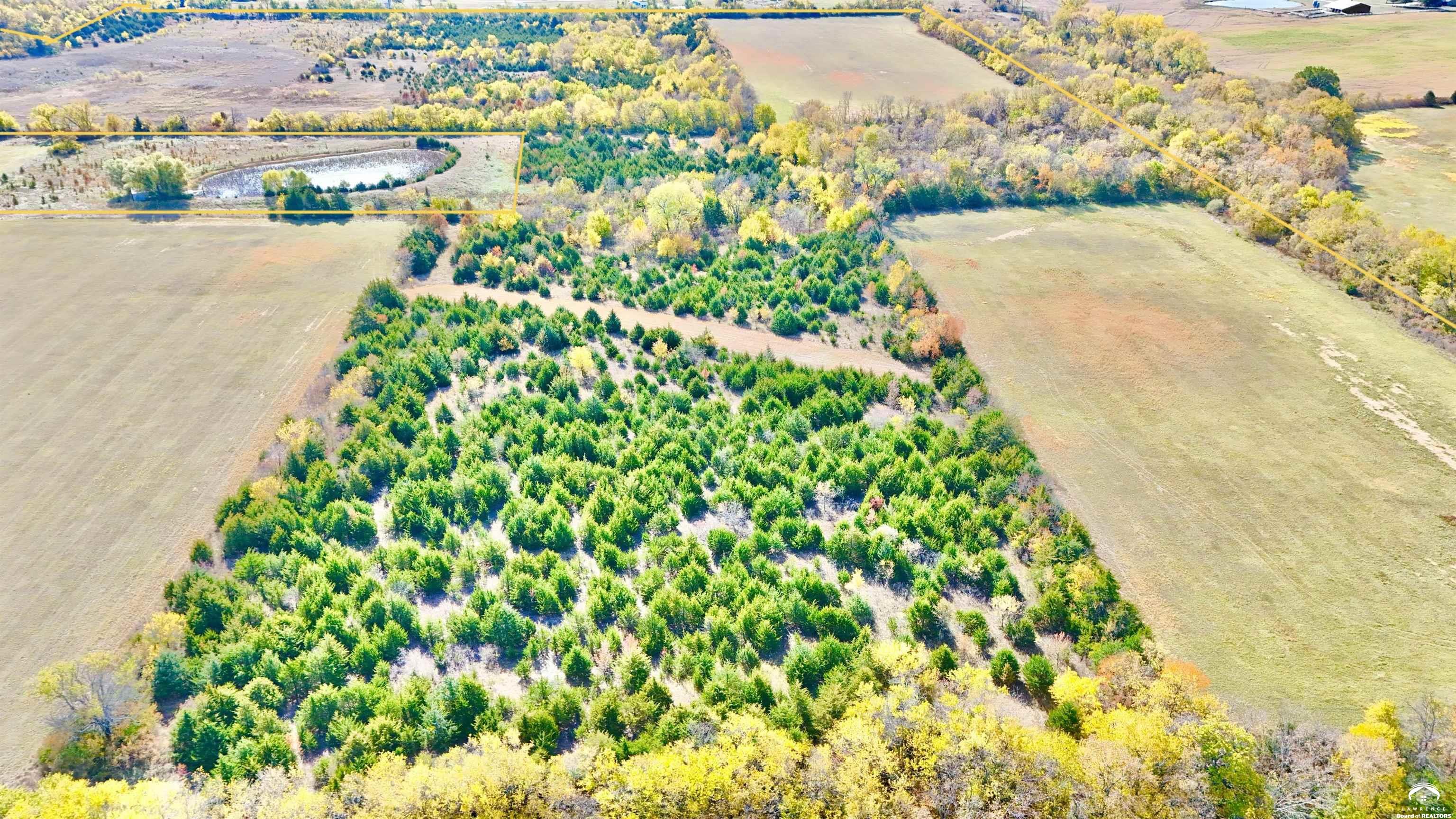 125-acres East 1296th Road Lawrence, KS 66047 - Photo 26 of 73