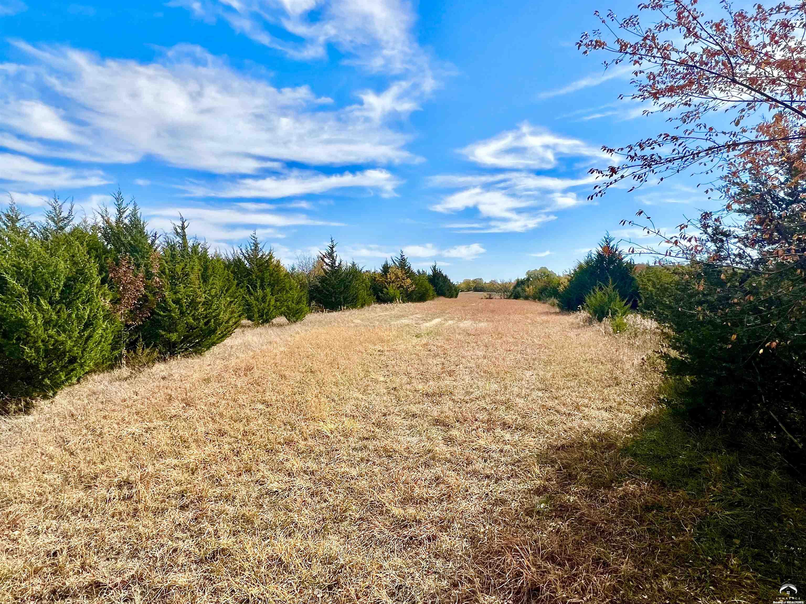 125-acres East 1296th Road Lawrence, KS 66047 - Photo 27 of 73