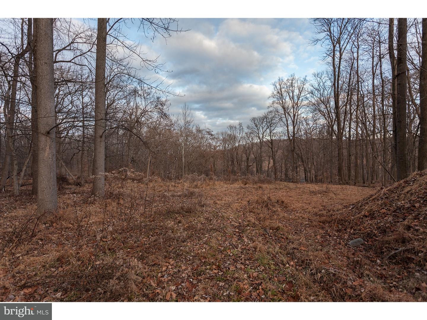 0 Windy Bush Road New Hope, PA 18938 - Photo 4 of 10 Gallery Image 4