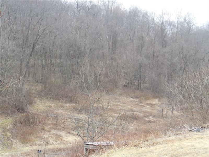 0 Neville Road Beaver, PA 15009 - Photo 2 of 13 Natures landscape.