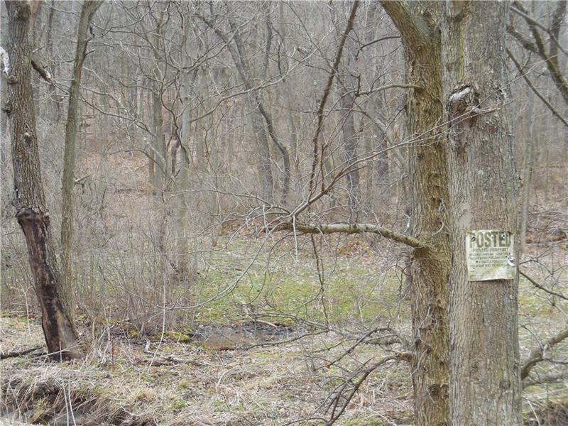 0 Neville Road Beaver, PA 15009 - Photo 5 of 13 This is the far right property line with two more trails to upper section where it will be the perfect spot to build your home with a view.