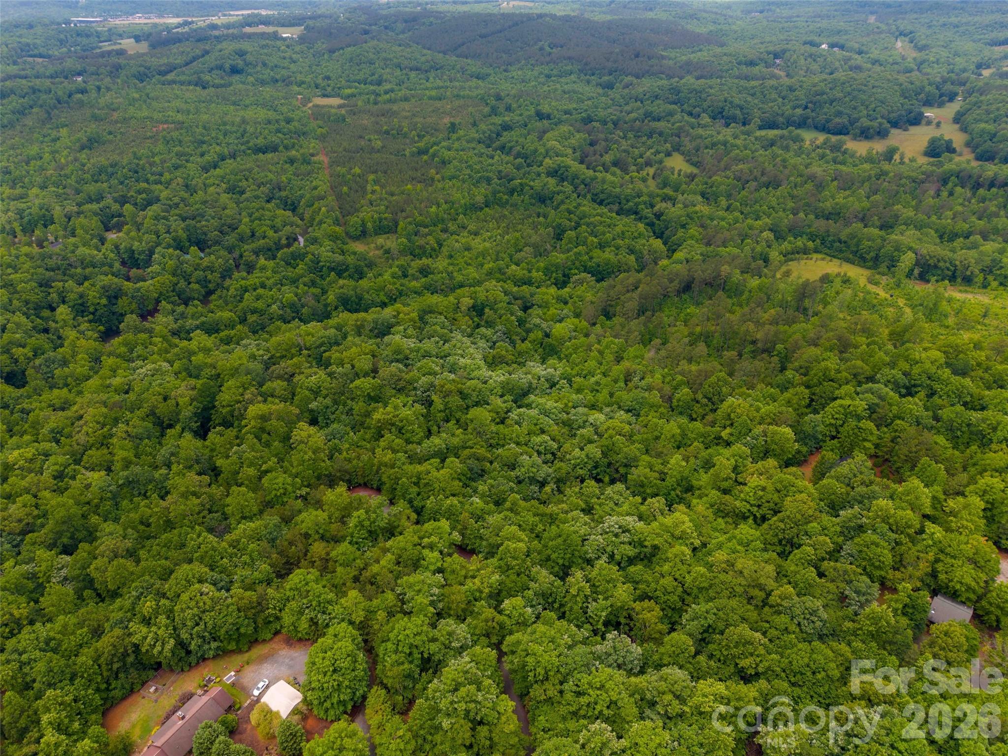 0 Bee Gee Drive Rutherfordton, NC 28139 - Photo 22 of 26