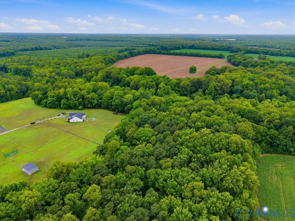 8085 Old Ridge Road Ashland, VA 23005 - Photo 45 of 53