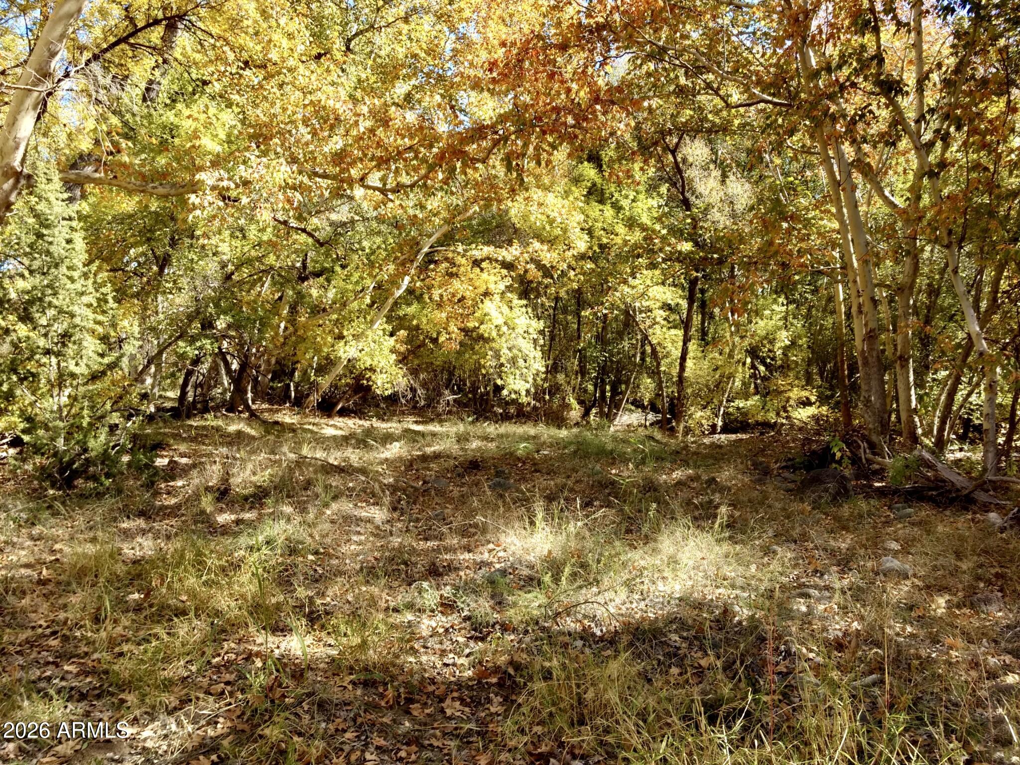 4261 Lazy River Road, Unit 303 Camp Verde, AZ 86322 - Photo 12 of 25 1239672409075124143