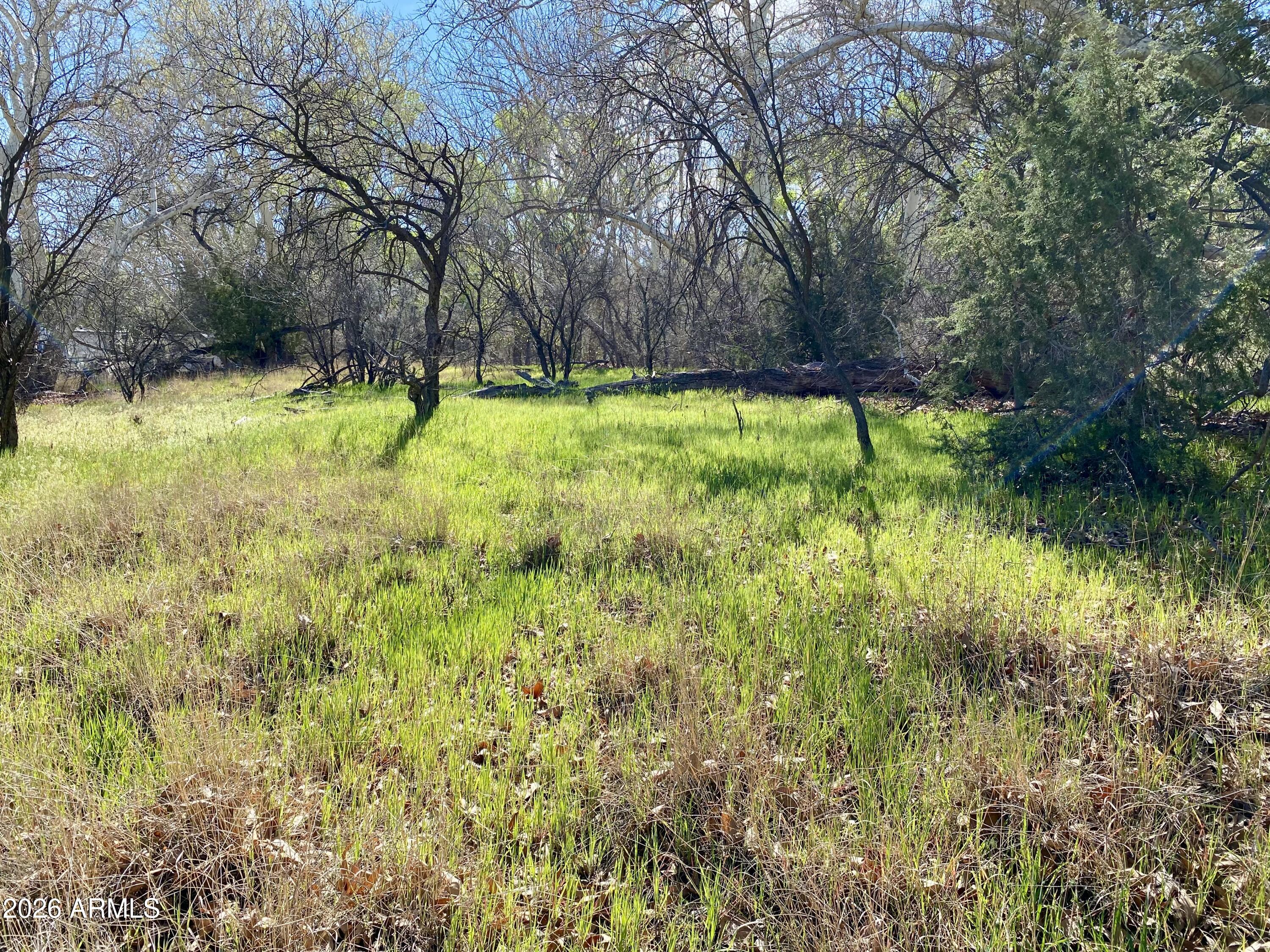 4261 Lazy River Road, Unit 303 Camp Verde, AZ 86322 - Photo 2 of 25 IMG_1350