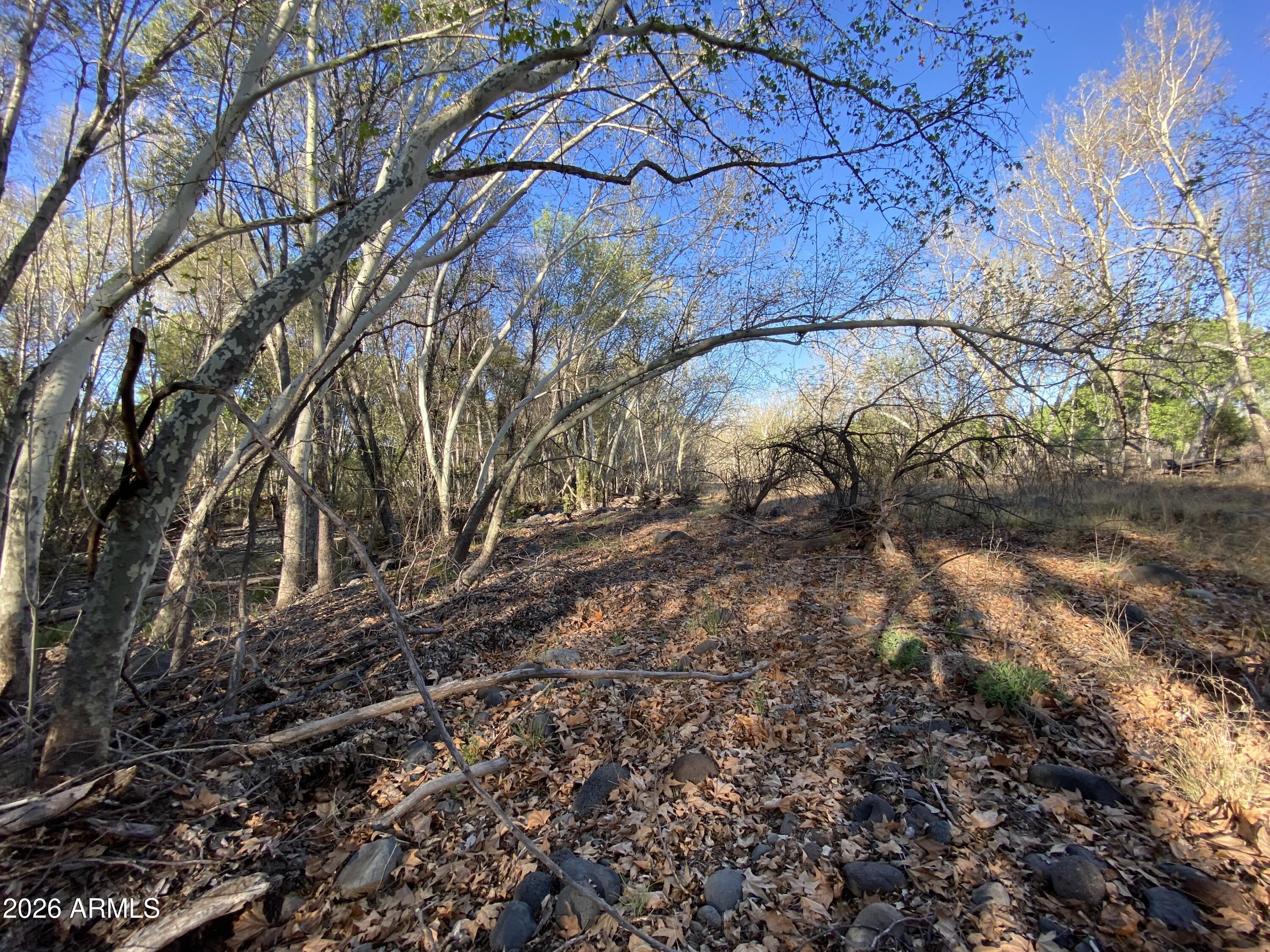 4261 Lazy River Road, Unit 303 Camp Verde, AZ 86322 - Photo 21 of 25 IMG_1368