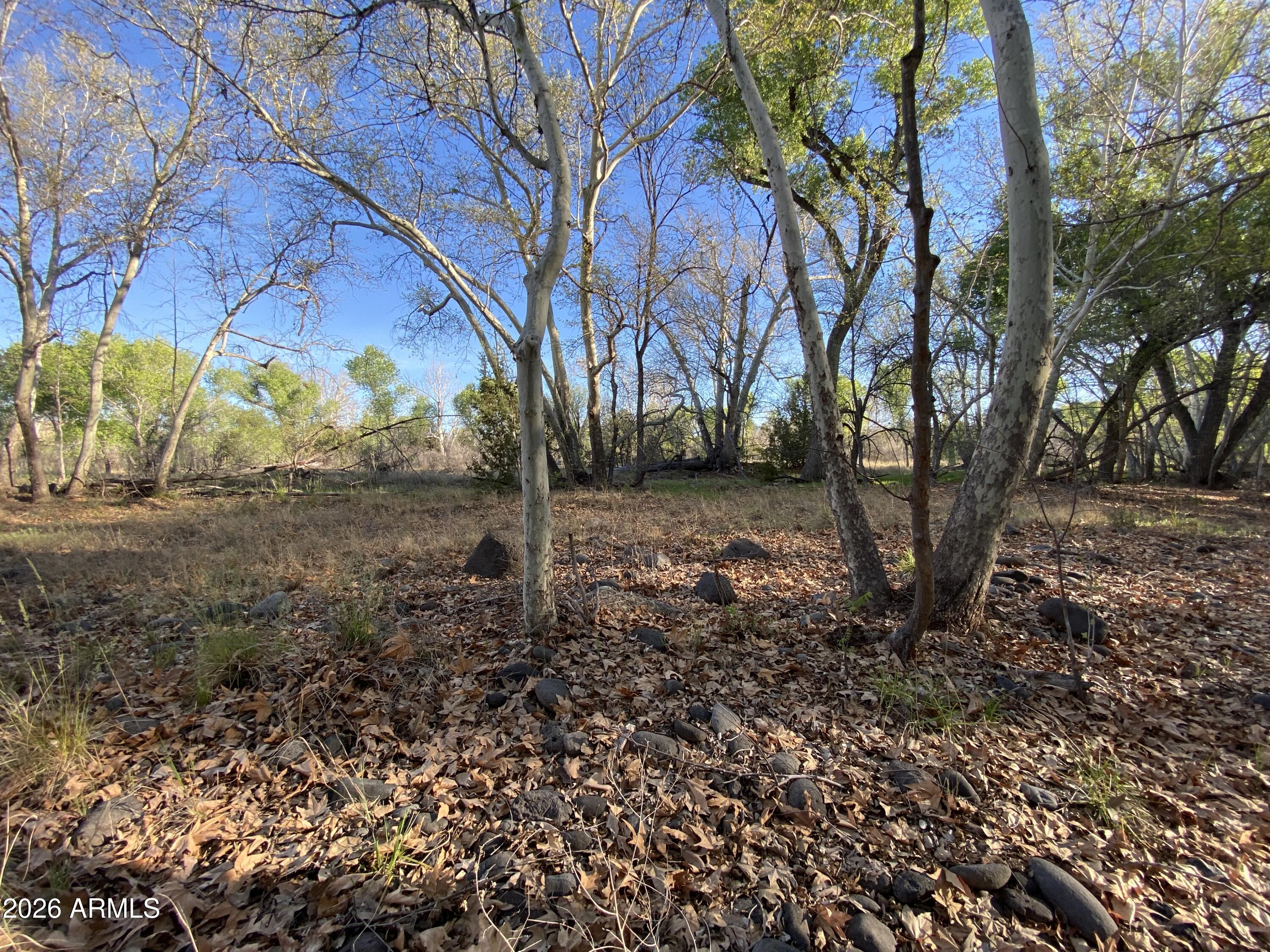 4261 Lazy River Road, Unit 303 Camp Verde, AZ 86322 - Photo 23 of 25 IMG_1366