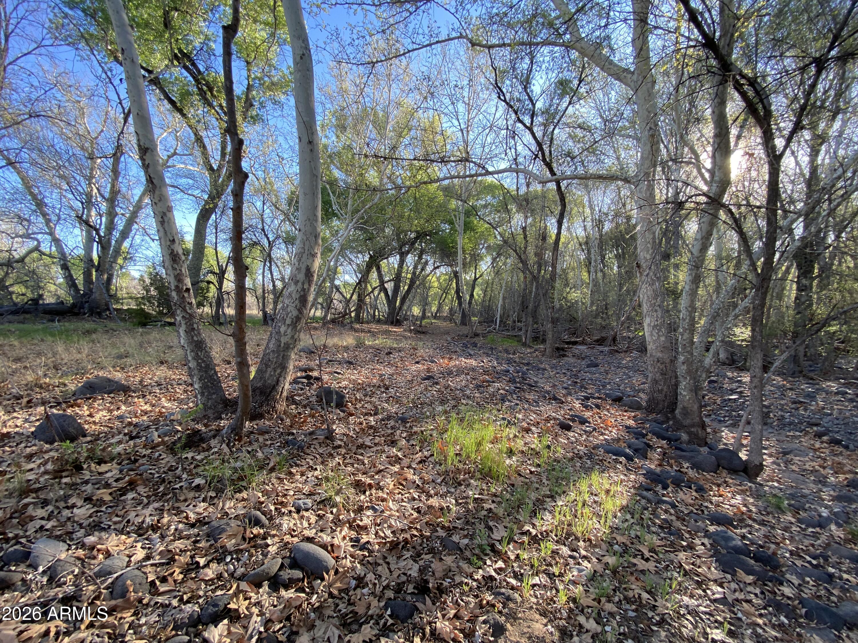 4261 Lazy River Road, Unit 303 Camp Verde, AZ 86322 - Photo 24 of 25 IMG_1365