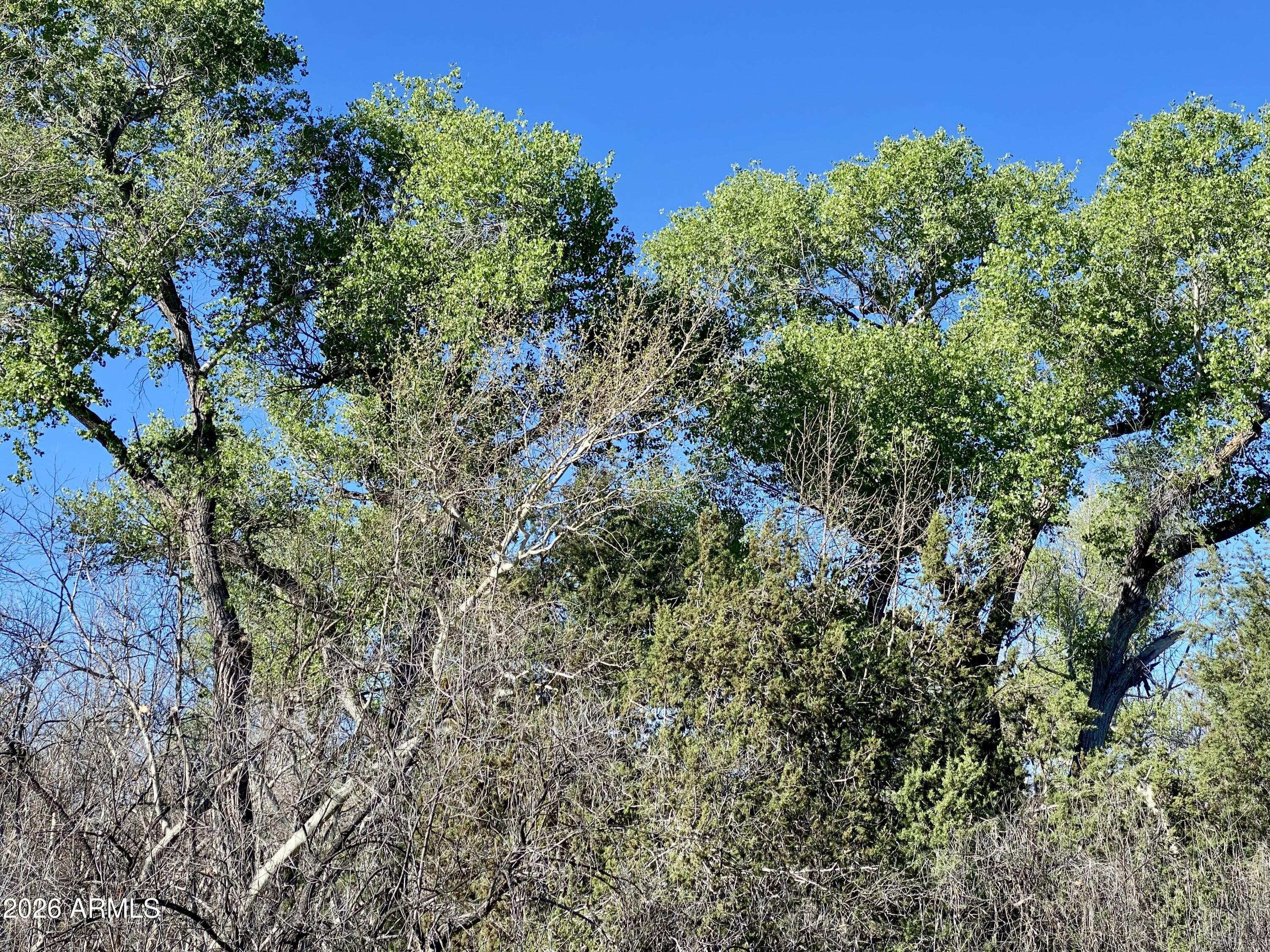4261 Lazy River Road, Unit 303 Camp Verde, AZ 86322 - Photo 3 of 25 IMG_1356