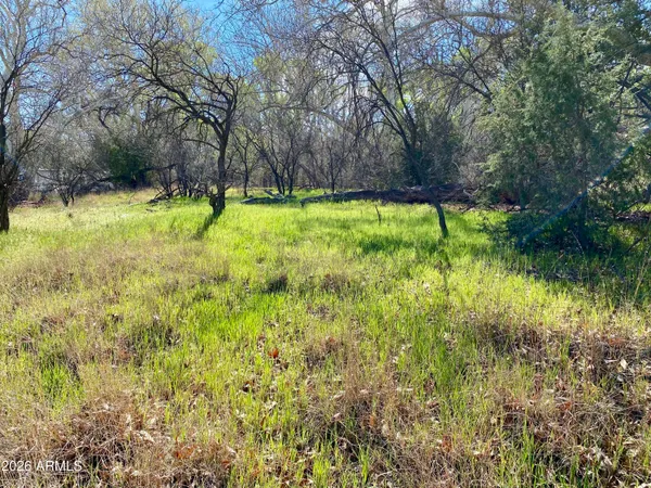 a view of backyard with green space