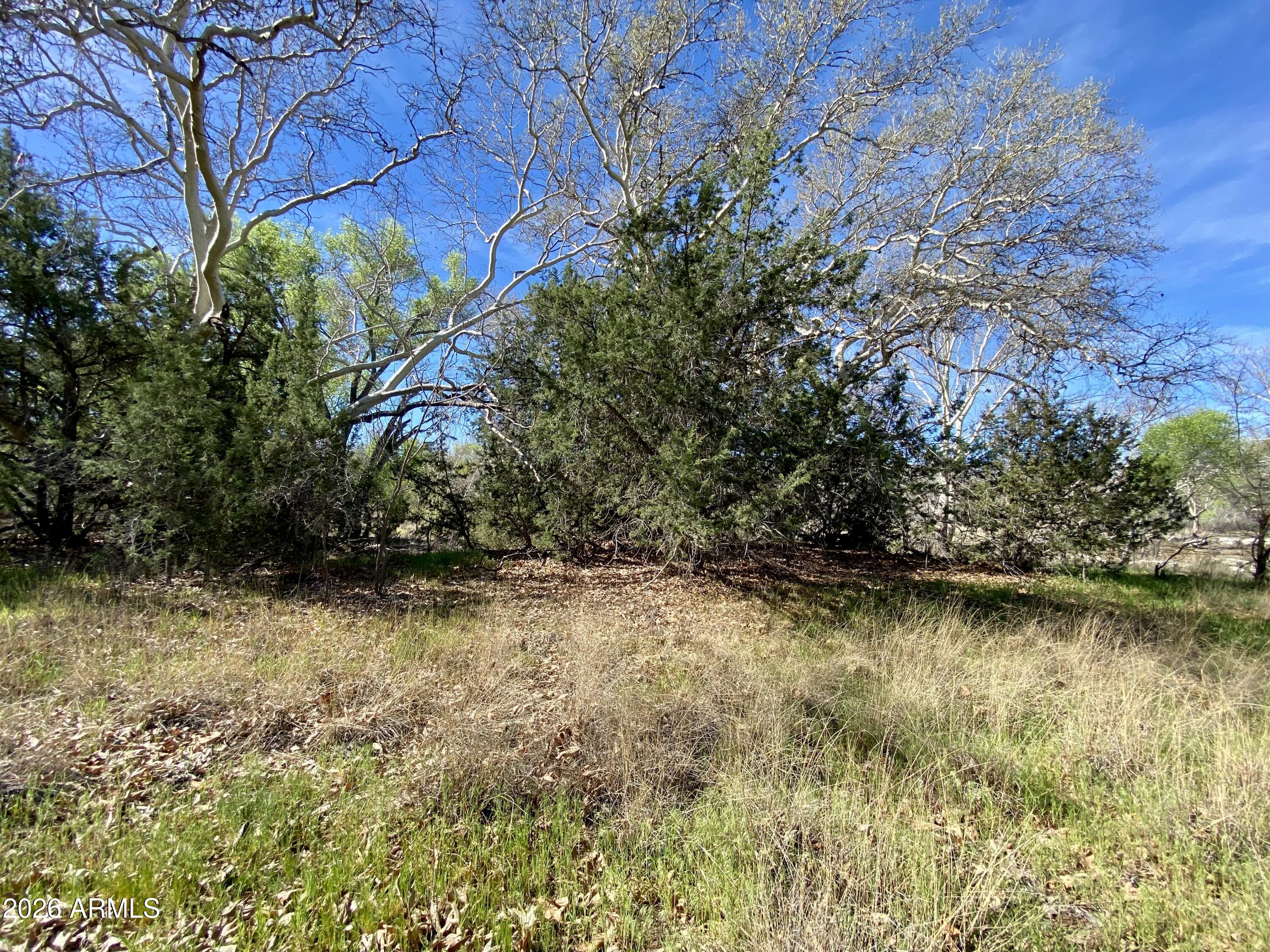 4261 Lazy River Road, Unit 303 Camp Verde, AZ 86322 - Photo 6 of 25 IMG_1349