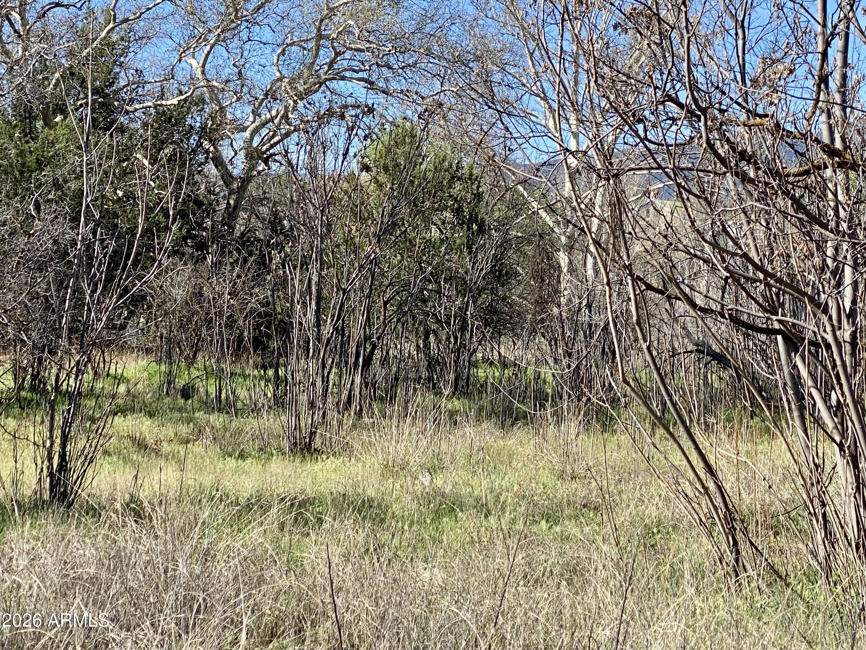 4261 Lazy River Road, Unit 303 Camp Verde, AZ 86322 - Photo 8 of 25 IMG_1346