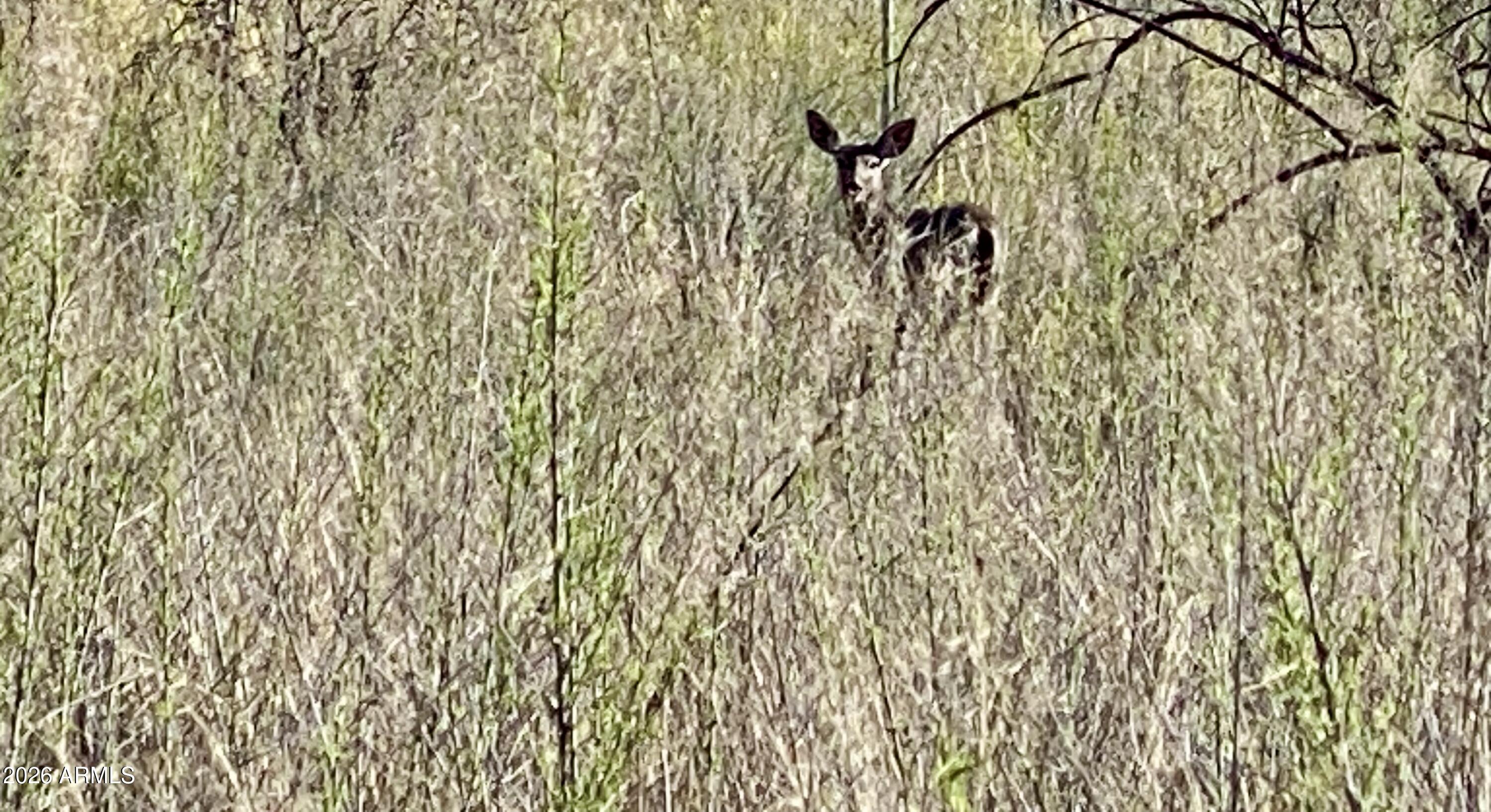 4261 Lazy River Road, Unit 303 Camp Verde, AZ 86322 - Photo 9 of 25 IMG_1354