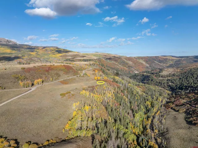 $1,200,000 | Lot C Posey Road, Placerville, CO 81430