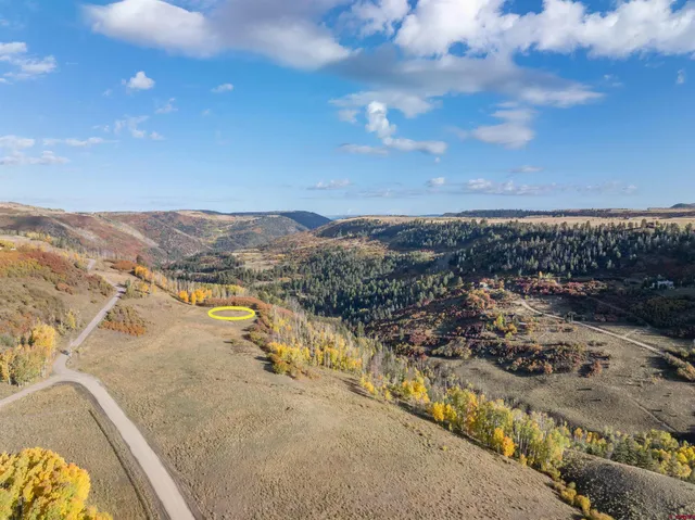 $1,200,000 | Lot C Posey Road, Placerville, CO 81430