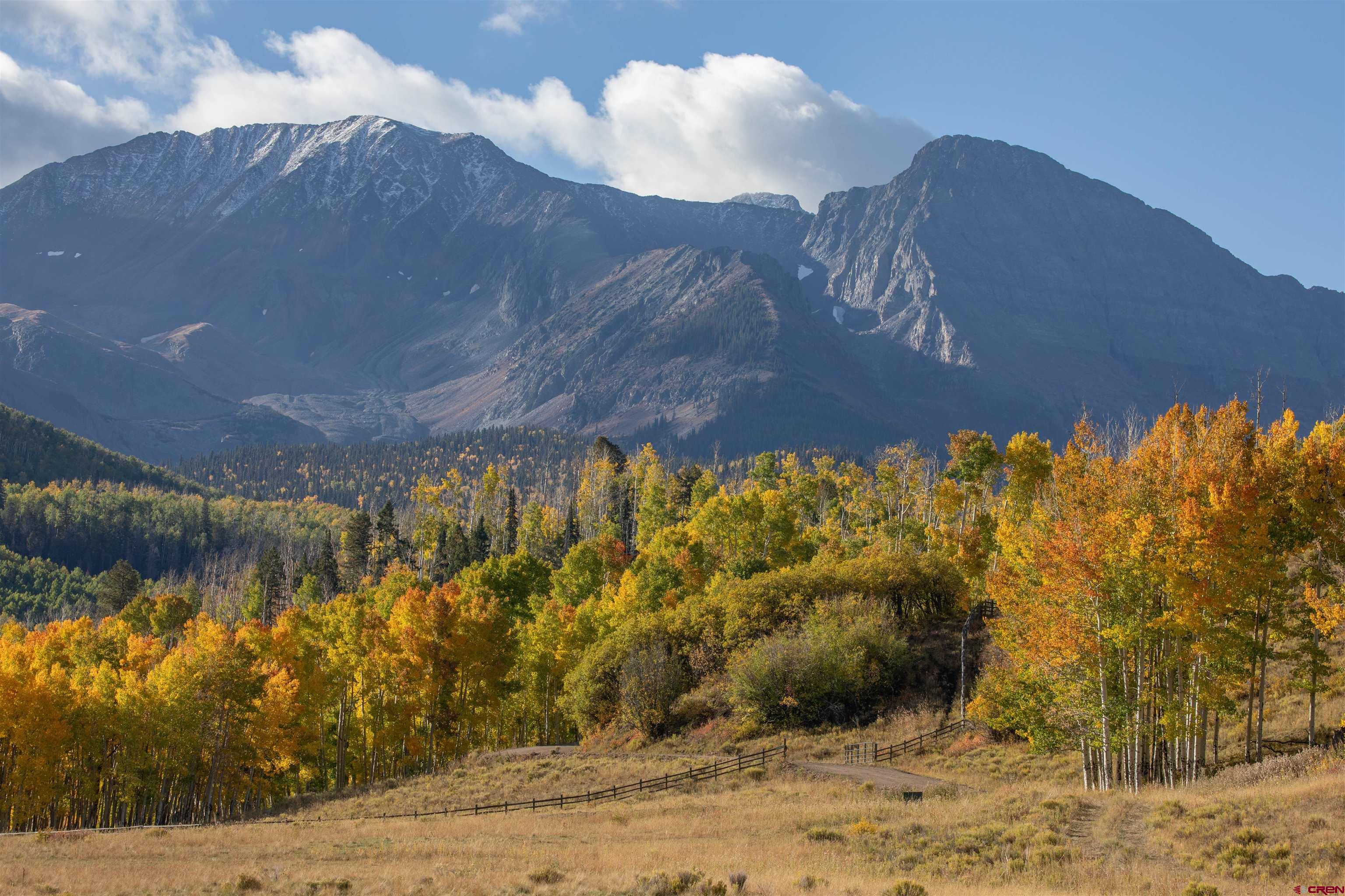 Lot C Posey Road Placerville, CO 81430 - Photo 5 of 34 a view of a yard