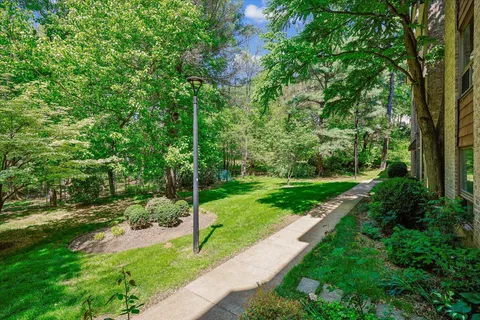 a view of a park with large trees