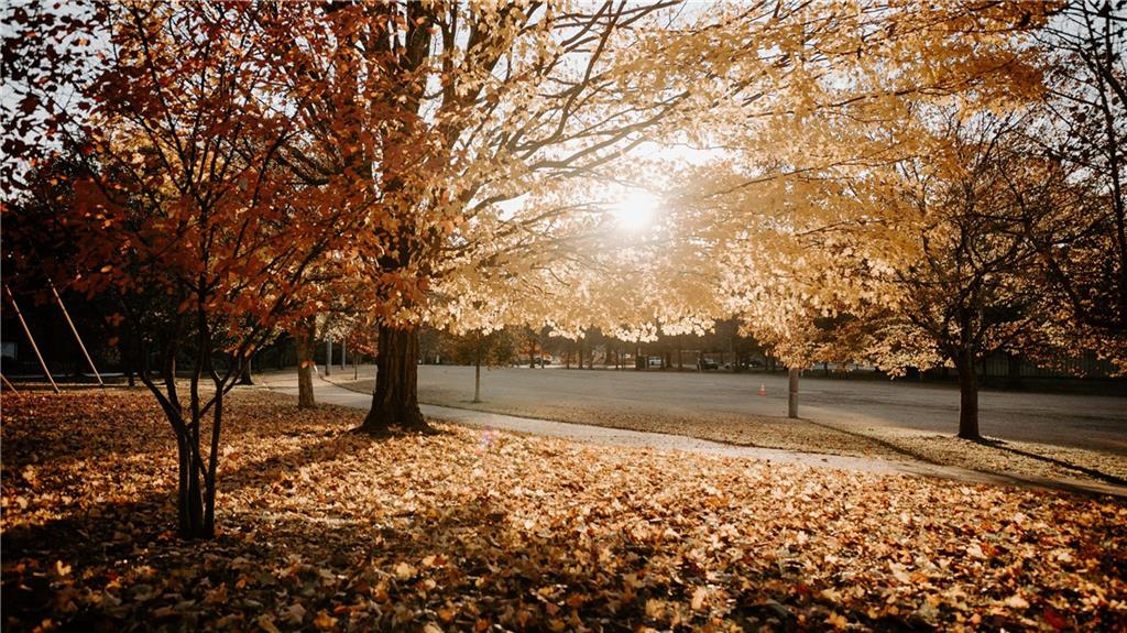 117 Mayson Avenue Northeast, Unit C Atlanta, GA 30307 - Photo 25 of 30 a view of yard with trees