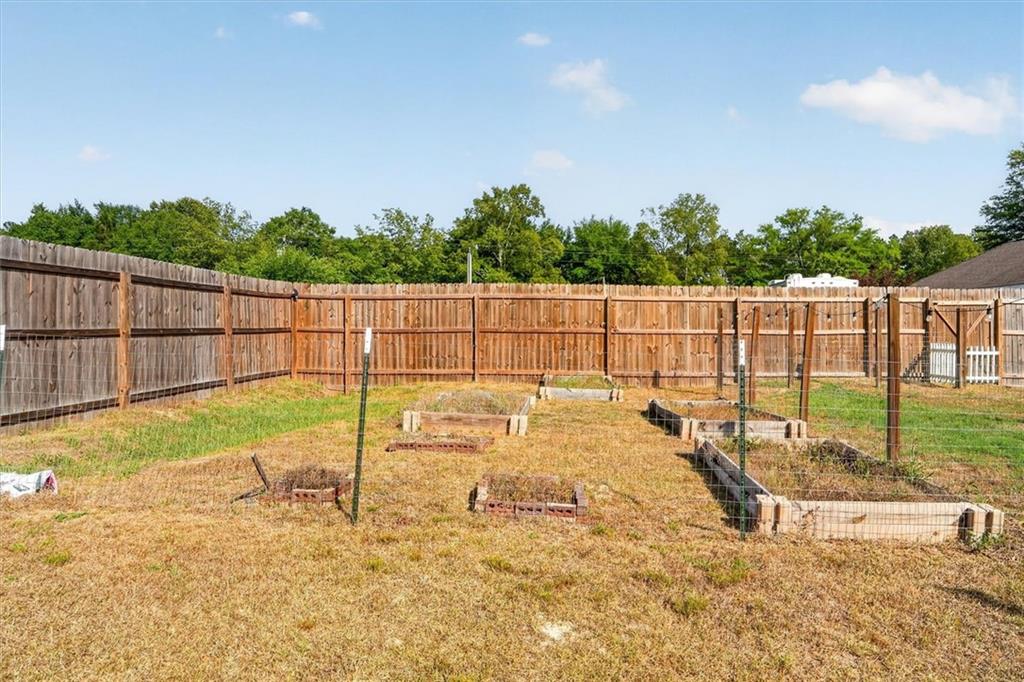 359 Poole Road Ludowici, GA 31316 - Photo 45 of 49 a view of a backyard