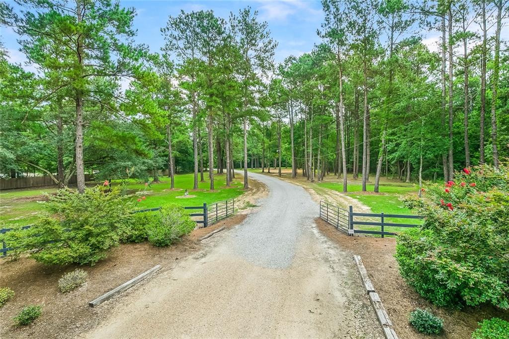 74380 Wilkinson Road Covington, LA 70435 - Photo 3 of 40