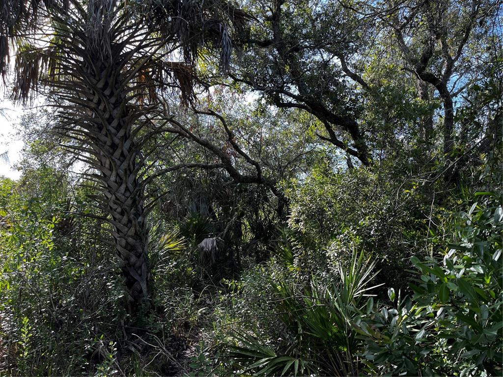 50204 Bermont Road Punta Gorda, FL 33982 - Photo 17 of 50 Gallery Image 17
