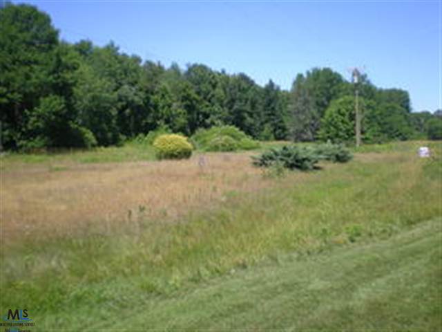 3696 South Lake Shore Road Harbor Beach, MI 48441 - Photo 1 of 1 31112300.JPG