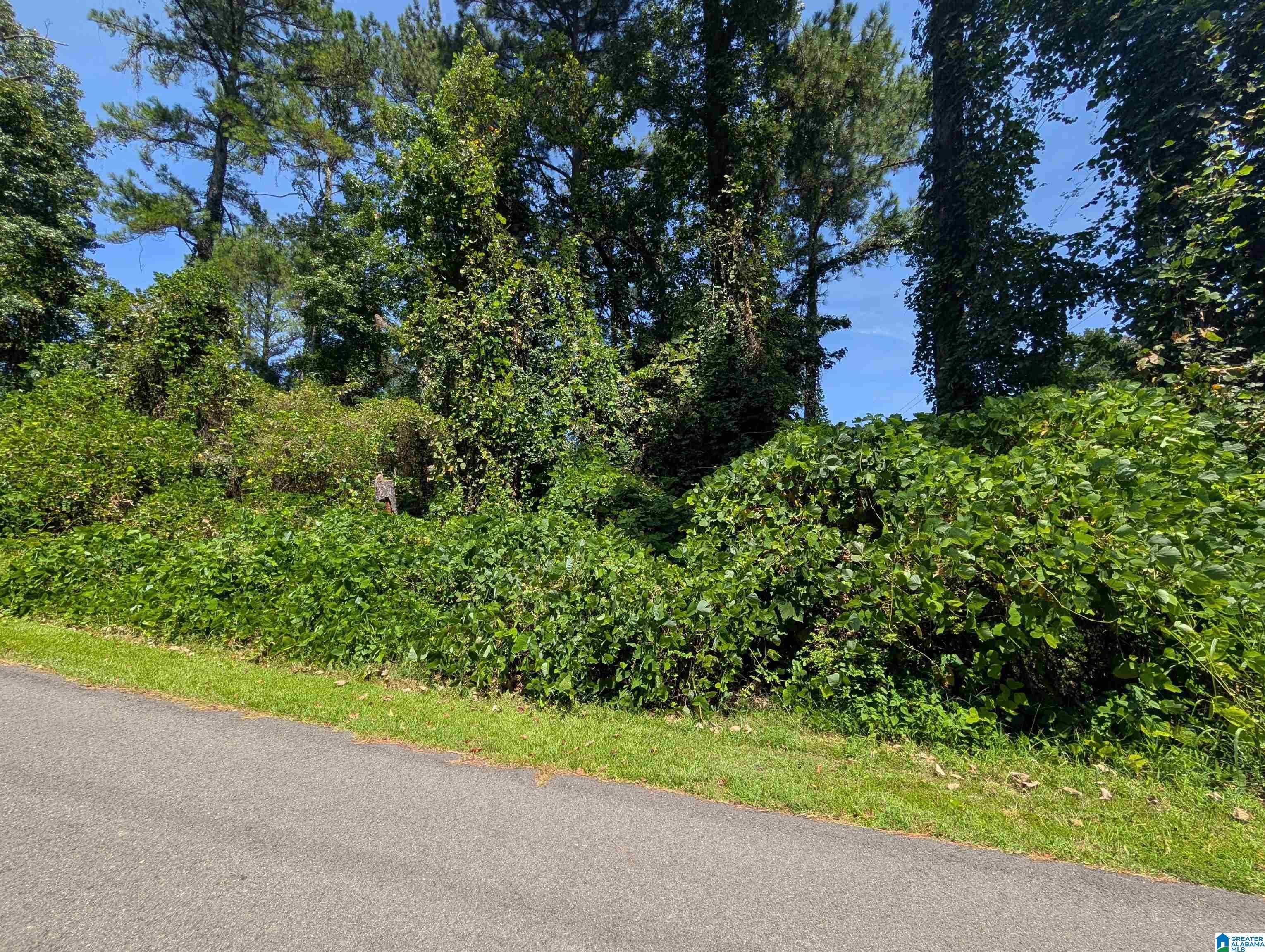 0 Hilltop Road Weaver, AL 36277 - Photo 4 of 18 Gallery Image 4