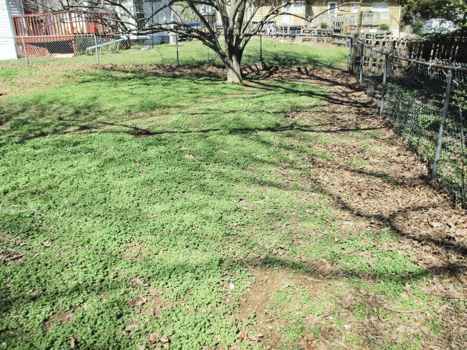 836 Bishopsgate Road Antioch, TN 37013 - Photo 23 of 23