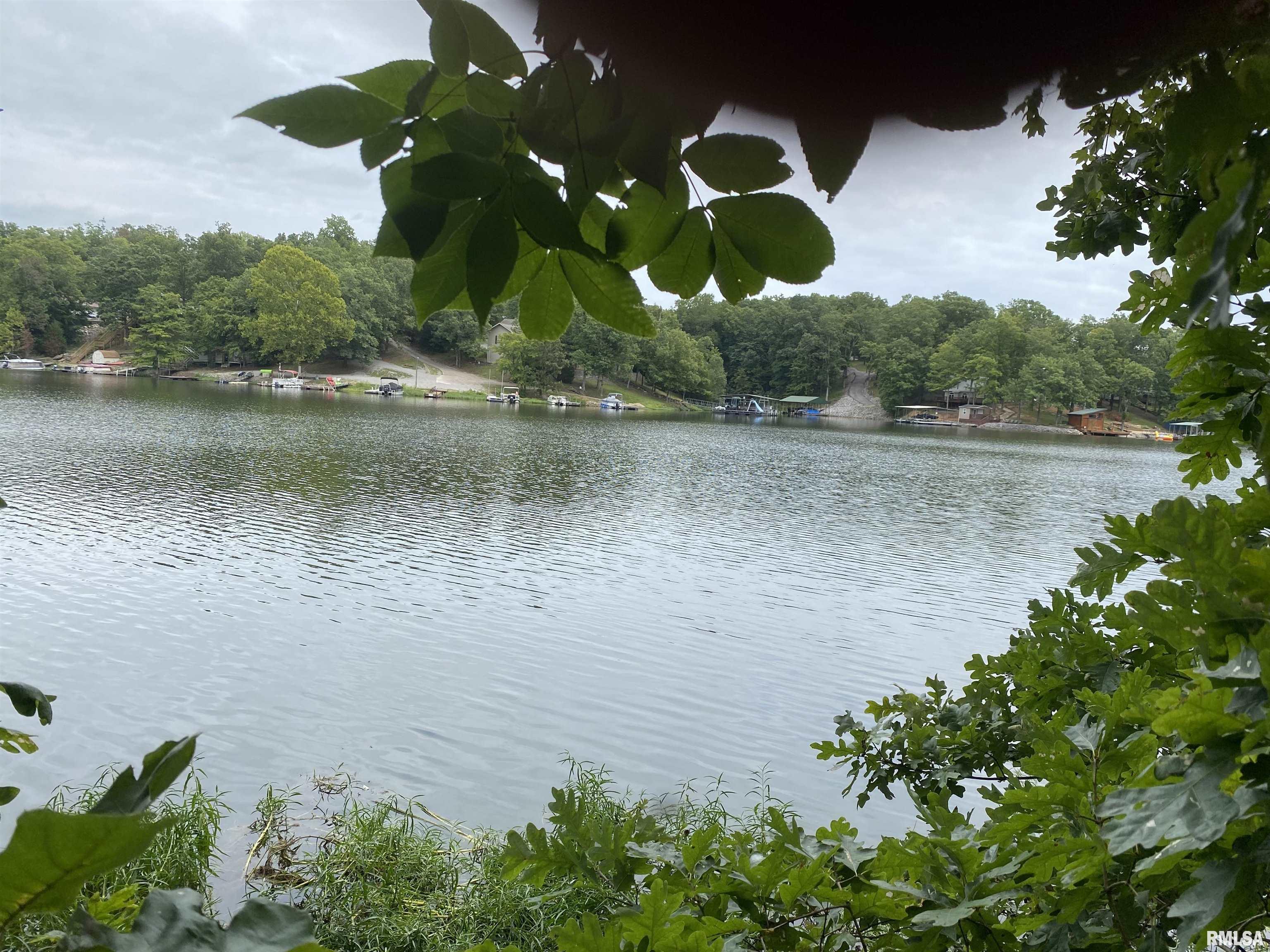 Parrish Ridge Lane Goreville, IL 62939 - Photo 3 of 10