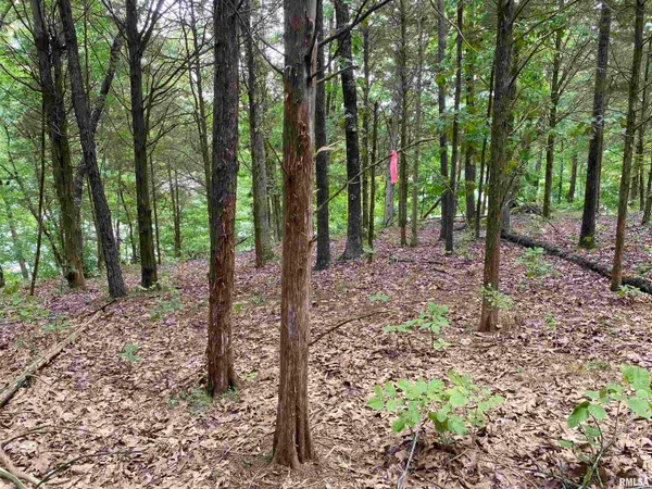 $40,500 | Parrish Ridge Lane, Goreville, IL 62939