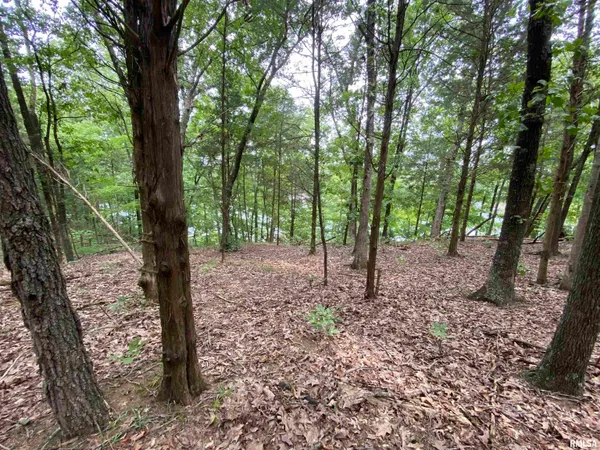 $40,500 | Parrish Ridge Lane, Goreville, IL 62939